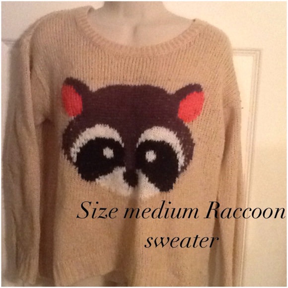Adorable Raccoon sweater