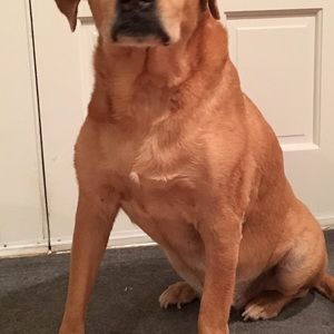 Meet your Posher, Julie