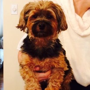 Meet your Posher, Lisa