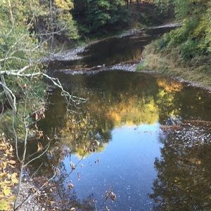 Meet your Posher, Janelle