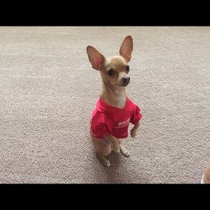 Meet your Posher, Lynn