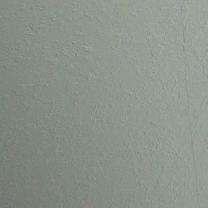 Meet your Posher, Hailey