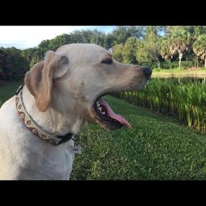 Meet your Posher, Autumn