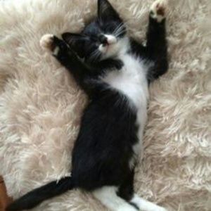 Meet your Posher, Itzy