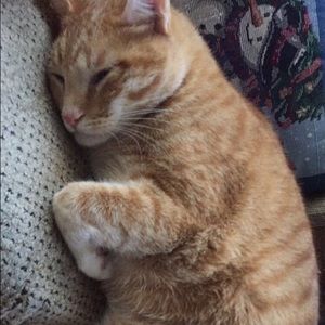 Meet your Posher, Torrin