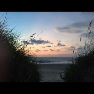 Meet your Posher, Casey