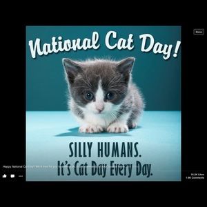 Meet your Posher, Wendy