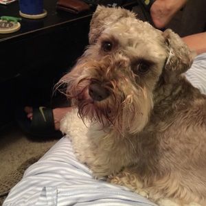 Meet your Posher, Stacie