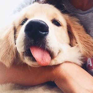 Meet your Posher, Lani