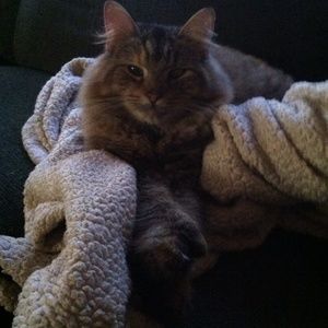 Meet your Posher, Laura