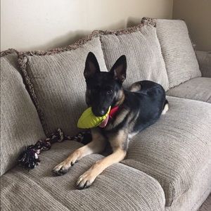 Meet your Posher, Amanda