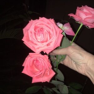 Meet your Posher, Gretchen