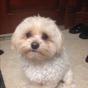 Meet your Posher, Leslieann