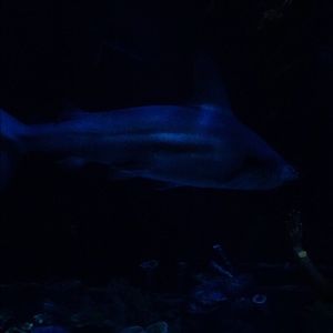 Meet your Posher, Melinda