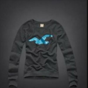 Hollister size small (website picture) 100% same.