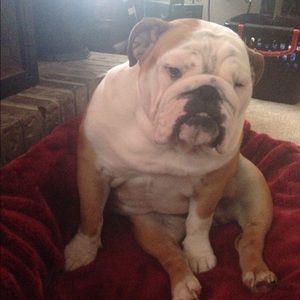 Meet your Posher, Chad