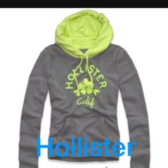 Hollister hoodie (photo from website) 100% same. - Picture 1 of 1