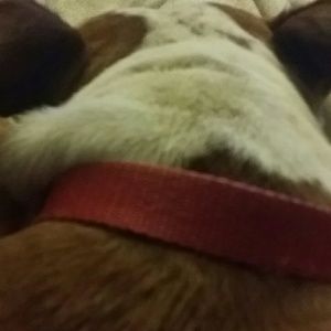 Meet your Posher, Contessa