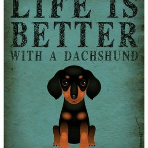 Meet your Posher, Yuki