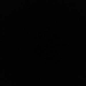 Meet your Posher, Nora