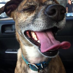 Meet your Posher, Liz