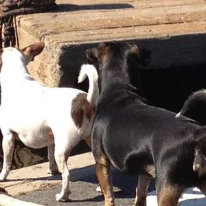 Meet your Posher, Monique