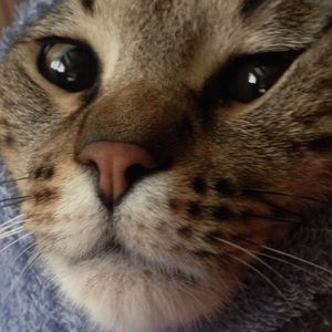 Meet your Posher, Mel