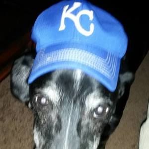 Meet your Posher, Jeff