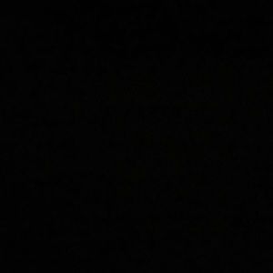 Meet your Posher, Tommy