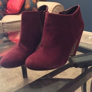 NWOT never worn Steve Madden Panelope Booties