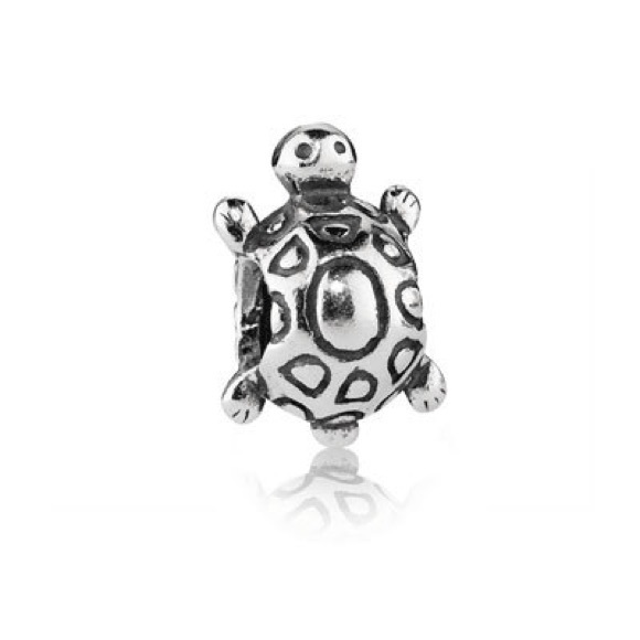 Pandora turtle charm