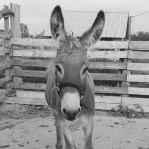 Meet your Posher, Melinda
