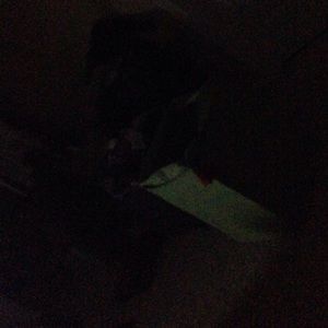 Meet your Posher, Gail