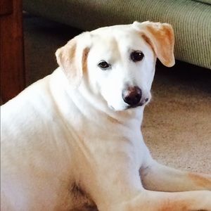 Meet your Posher, Rebecca