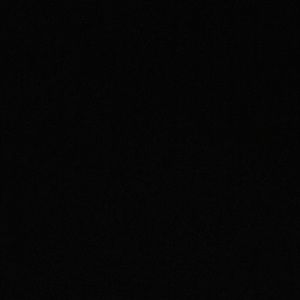 Meet your Posher, Willa