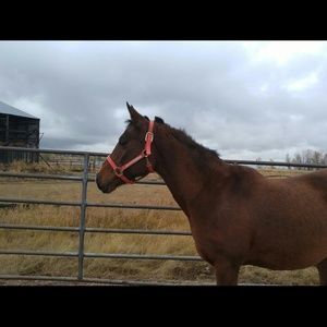 Meet your Posher, Elisa