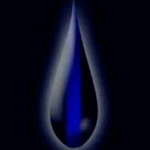 Meet your Posher, Shaun