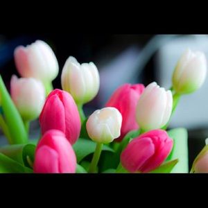 Meet your Posher, Tammy