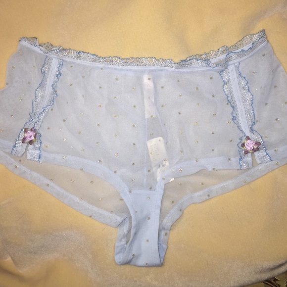 SOLD IN BUNDLE  Cacique Cheeky Panties sexy blue