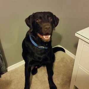 Meet your Posher, Jodi