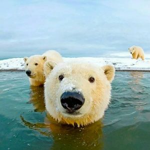 Meet your Posher, Linda