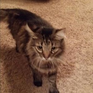 Meet your Posher, Samantha