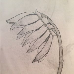 Meet your Posher, Peyton