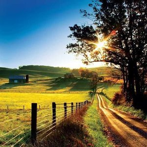 Meet your Posher, Vickie