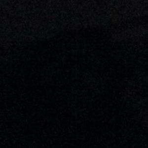 Meet your Posher, Elvis