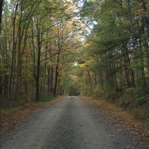 Meet your Posher, Maya