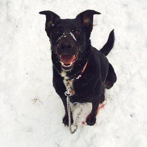 Meet your Posher, Cam