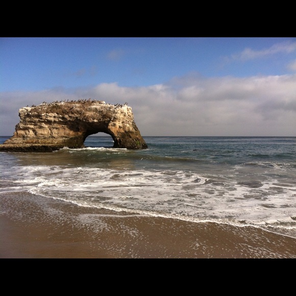 Meet your Posher, Ritzi