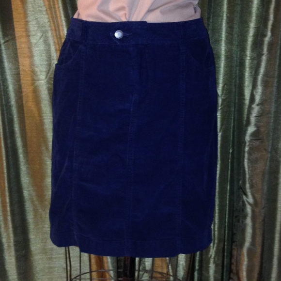 Faded Glory skirt