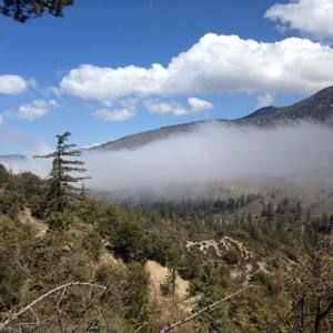 Meet your Posher, Siobhan